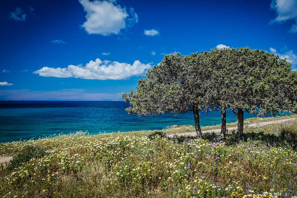 island