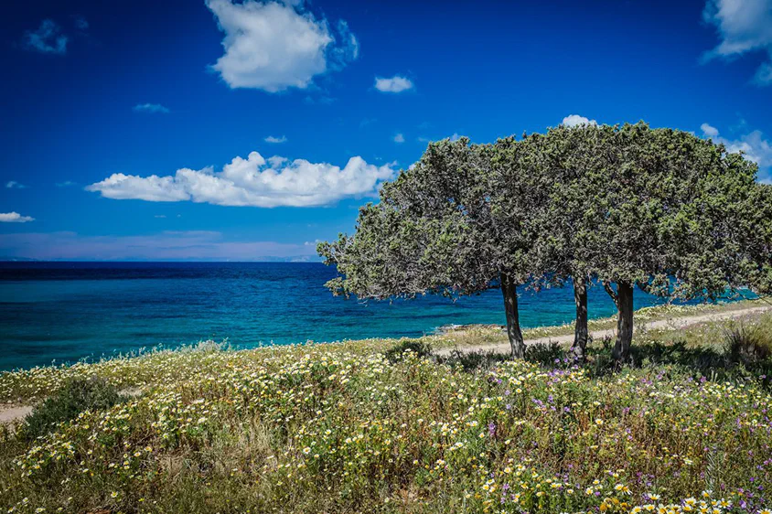island